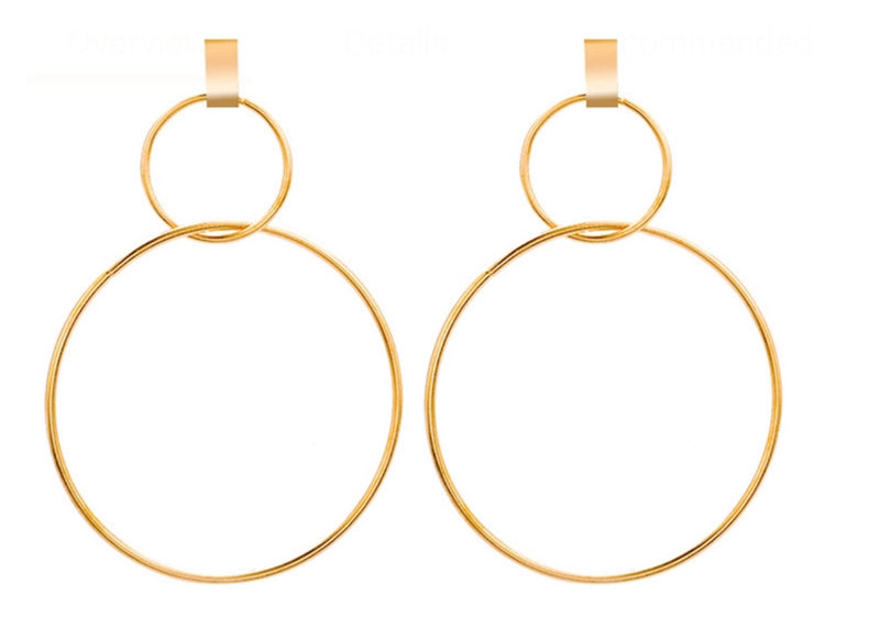 Geometric Double Hoop Dangle Earrings